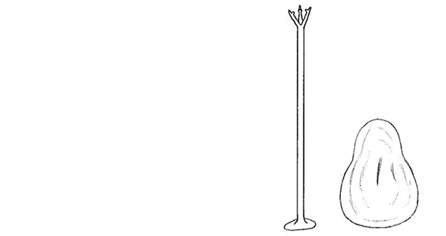 Acanthocystis mikrjukovi