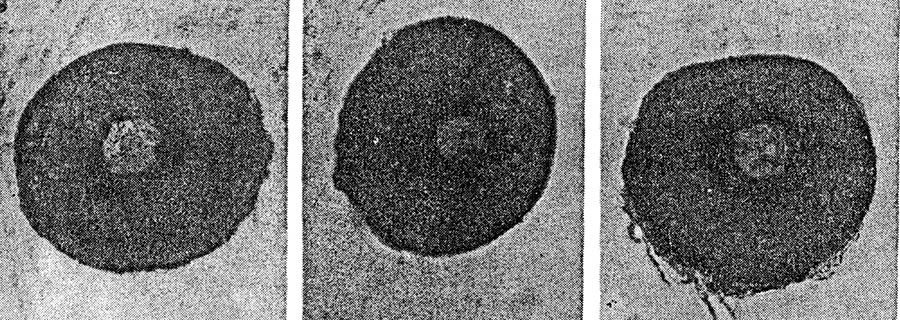 Centropyxis obscurus