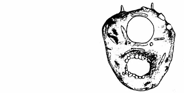 Centropyxis pyriformis