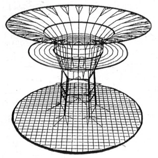 Cochliopodium bilimbosum