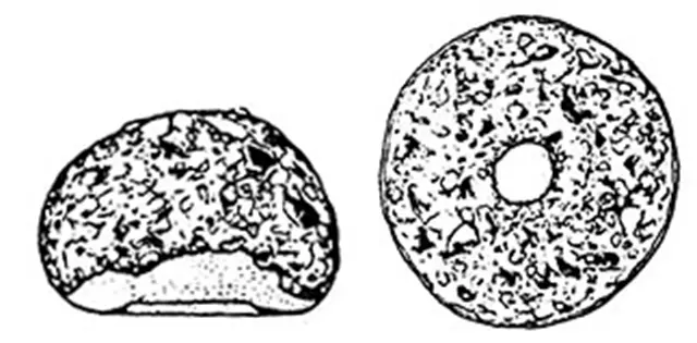 Cyclopyxis ambigua