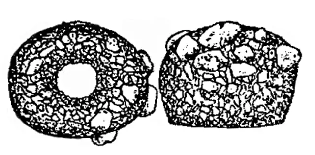 Cyclopyxis-kahli-oblonga