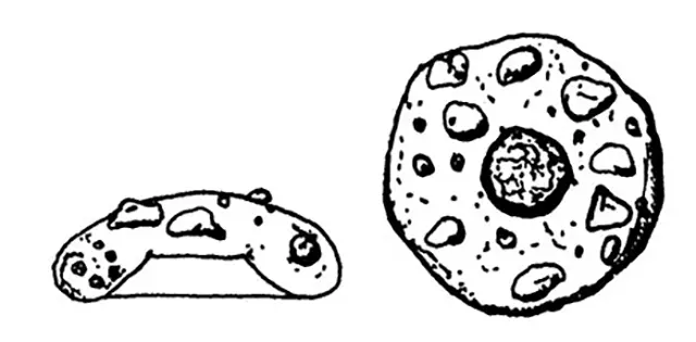 Cyclopyxis plana var. microstoma 