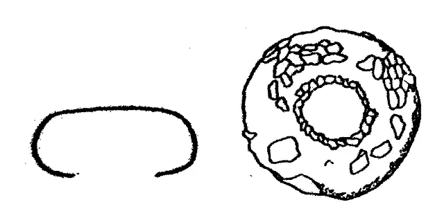 Cyclopyxis pseudolaevigata