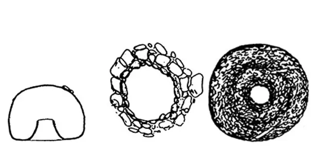 Cyclopyxis stephanostoma