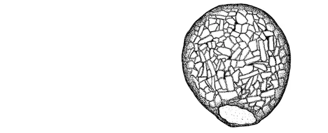 Difflugia caucasica