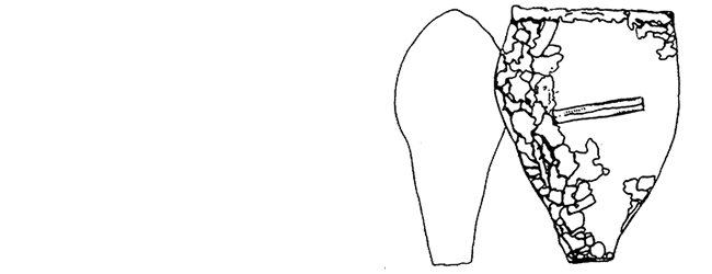 Difflugia rectifrons