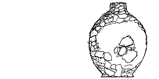 Difflugia romanovskyi