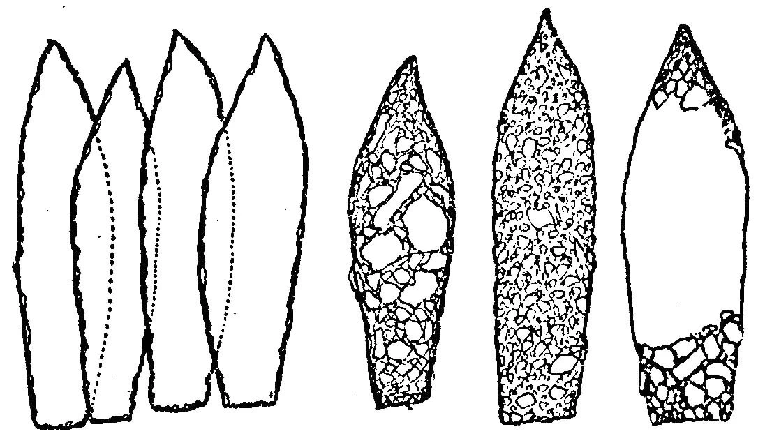 Difflugia smilion