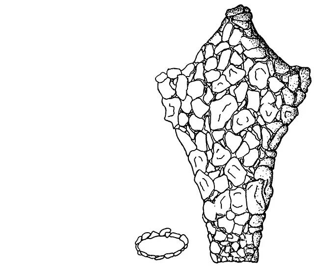 Difflugia triangularis 