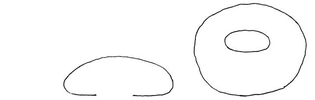 Elipsopyxis lamottei