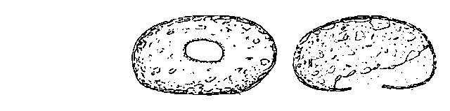 Elipsopyxis pauliani