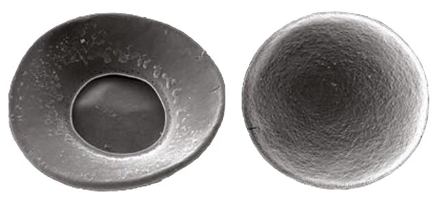 Galeripora naiadis