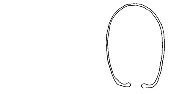 Hyalosphenia rectangularis