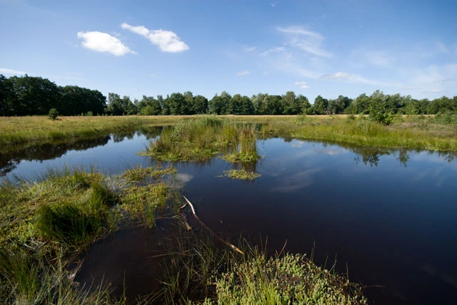 Laegieskamp Bussum