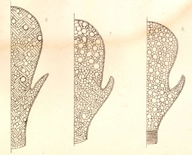 Nebela ansata