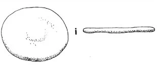 Pompholyxophrys degrooti