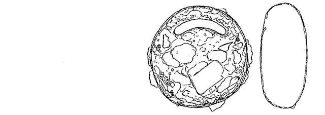 Protoplagiopyxis ridderae
