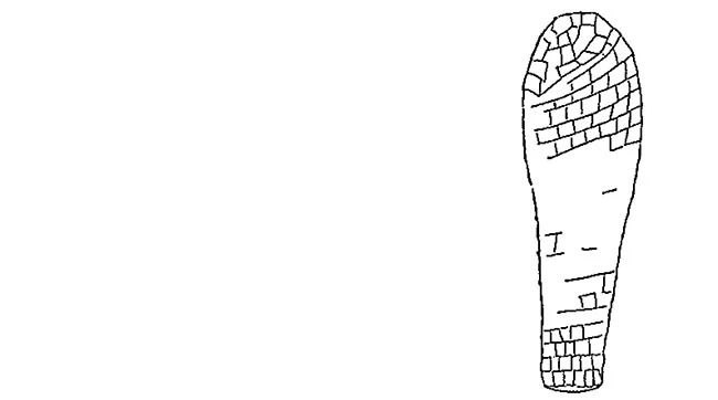 Quadrulella elongata