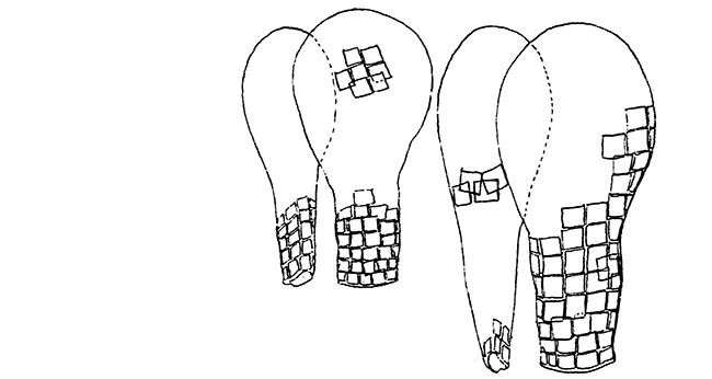 Quadrulella tubulata