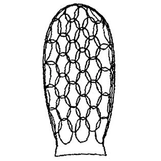 Sphenoderia splendida