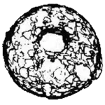 Centropyxis plagiostoma terricola
