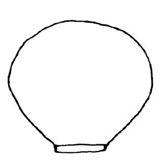 Cryptodifflugia compressa australis