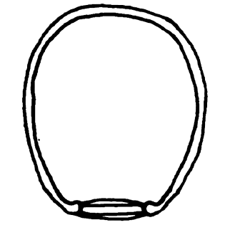 Cryptodifflugia oviformis