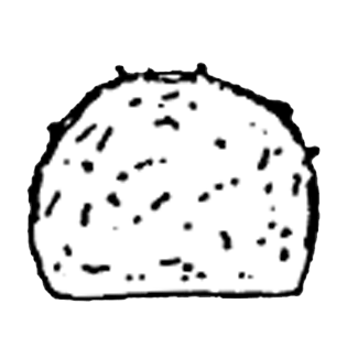 Cryptodifflugia patinata