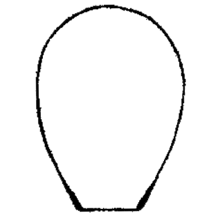 Cryptodifflugia valida