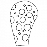 Euglyphidion  bonneti decloitre 1973