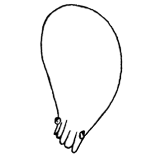 Feuerbornialobophora