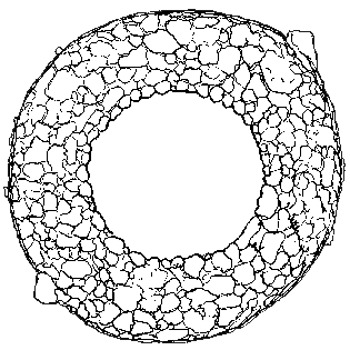 Phryganella nidulus