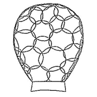 Sphenoderia australis Playfair 1917