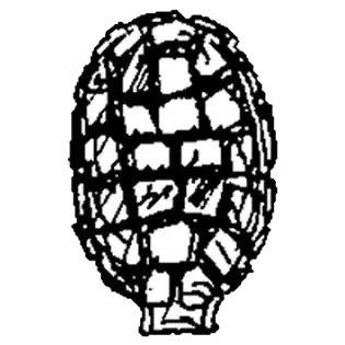 Sphenoderia quadritesta Stepanek 1967