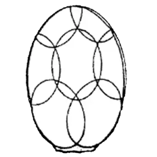 Sphenoderia vanhoyei Chardez1976