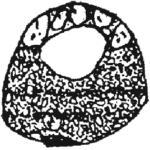 Centropyxis janetscheki