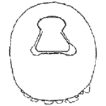 Centropyxis gasparella